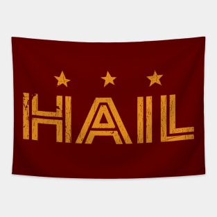 Washington-Redskins Tapestry