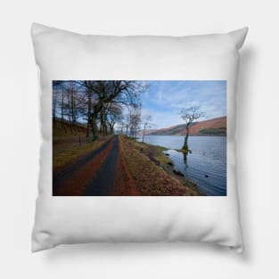 Loch Earn Pillow