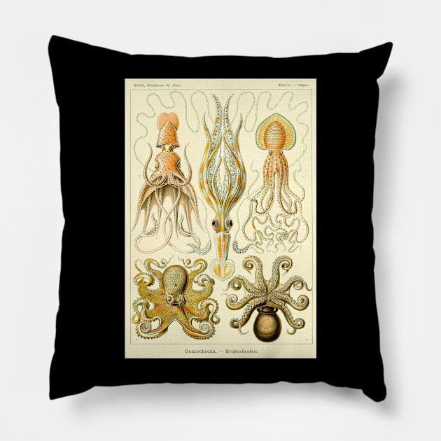 Squid Octopus Marine Biology Science Illustration Cephalopod Pillow by twizzler3b