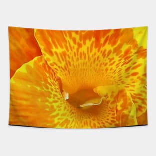 Huge Brilliant Colorful Canna Lily  Flower in Yellow and Orange Tapestry