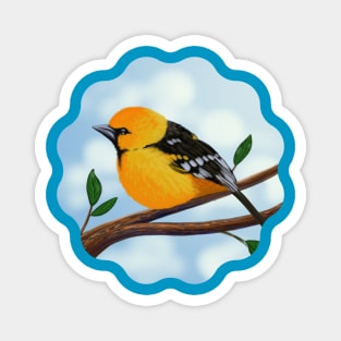 Altamira Oriole Magnet