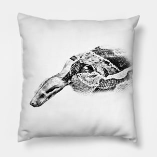 Boa constrictor Pillow