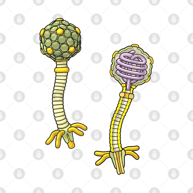 Lambda Bacteriophage Illustration by taylorcustom