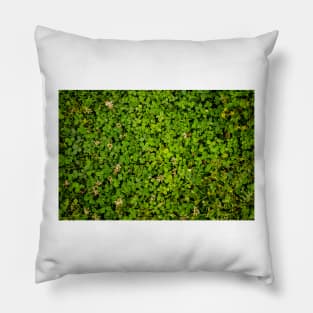 Cloverfield Pillow