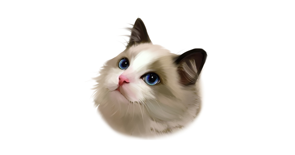 ragdoll kids