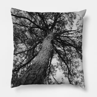 tree of life Pillow