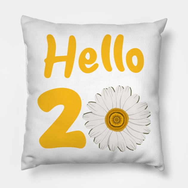 20th Birthday Pillow by Hsbetweenus