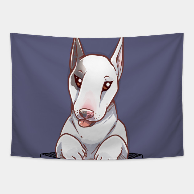 pocket bull terrier