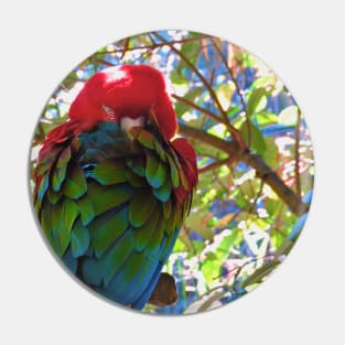 Scarlet Macaw V1 Pin