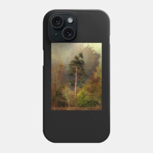 Dark, Stormy Autumn Day Phone Case