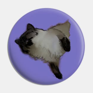 sleeping cat Pin