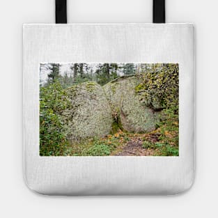 Seven Falls Pastoral Study 7 Tote