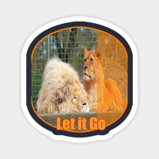 Caged animals Freedom Lions Magnet