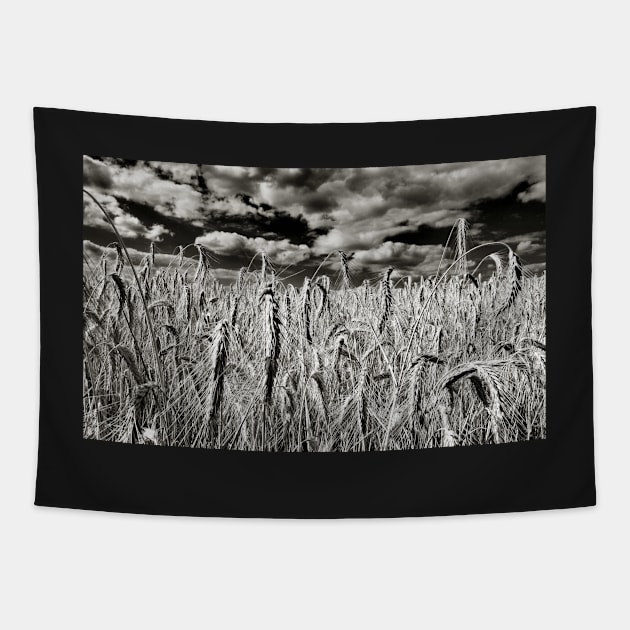 Corona Virus Scary Horror Landscape Photography Tapestry by PlanetMonkey