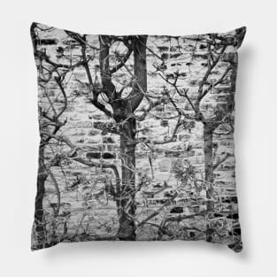 Brick Wall With Branches Pillow