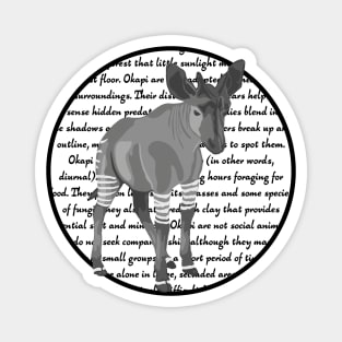 Okapi Magnet