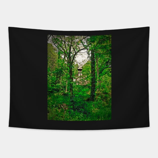 Manse In The Woods Tapestry by PaulLu