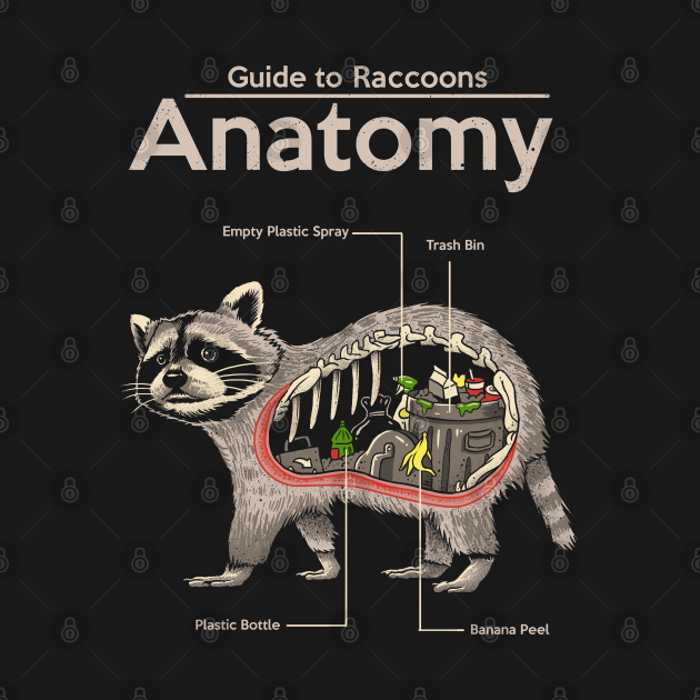 Discover Anatomy of a Raccoon - Raccoon - T-Shirt