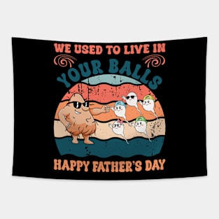 We used to live in your balls happy Gift For Men Father day Tapestry