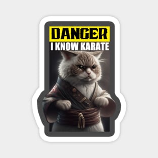 Cute kitten with Karate ( cute kitten) Magnet