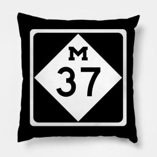 M-37 Traverse City Michigan Old Mission Peninsula Highway Pillow