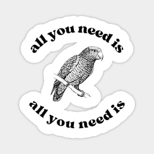 All you need is an African Grey Parrot Magnet