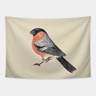 Eurasian bullfinch bird Tapestry