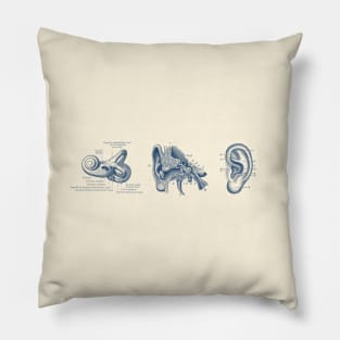 Human Ear Anatomy Diagram Pillow