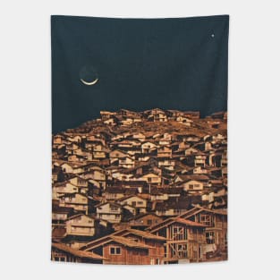 colonization Tapestry