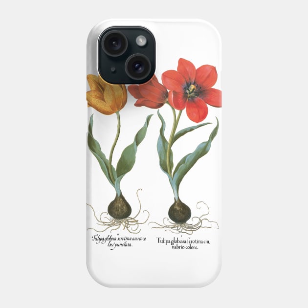 Tulips by Basilius Besler Phone Case by MasterpieceCafe