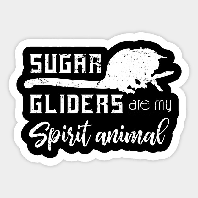 Australia Zoo Animal Sugar Glider Sugar Glider Sticker Teepublic