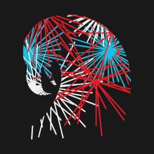 Eagle Fireworks Silhouette T-Shirt