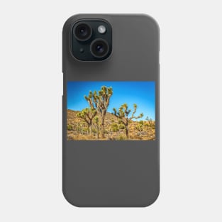 Joshua Tree National Park, California Phone Case