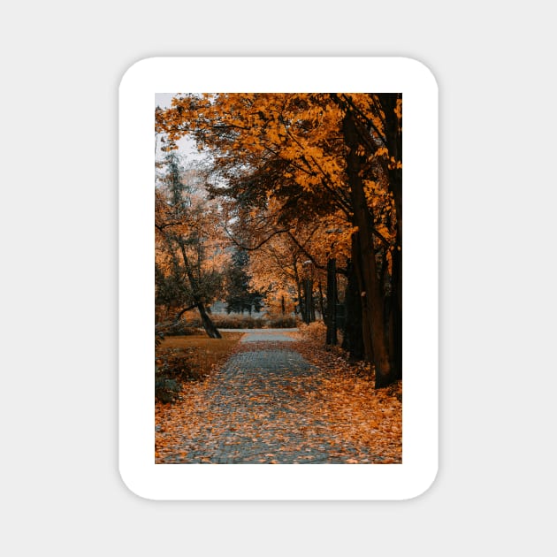 autumn forest Magnet by SALTEE_STORE