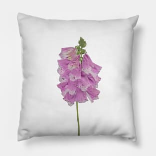 real flower, pink bells Pillow