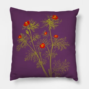 Vintage florals - Pheasant's Eye Pillow