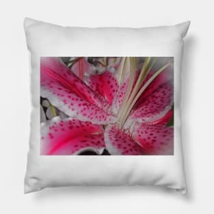 Stargazer Central Pillow