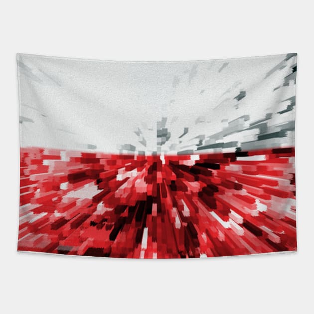 Extruded flag of Poland Tapestry by DrPen