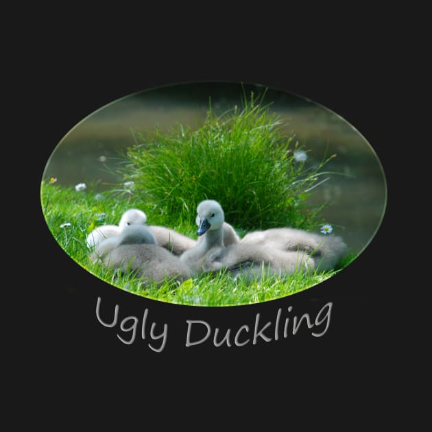 Ugly Duckling by RichardGibb