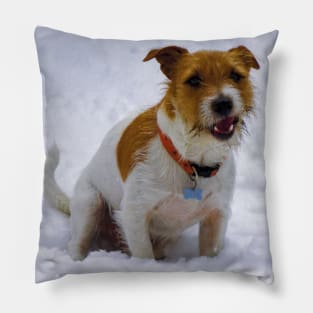 Jack russell terrier Pillow