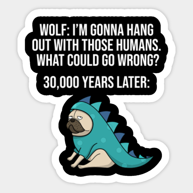 What Could Go Wrong Funny Wolf Dog Meme Wolf Dog Meme Aufkleber Teepublic De
