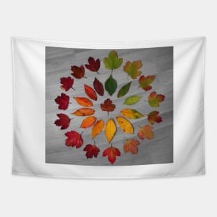 Cycle of leaf autumn leaf art Tapestry