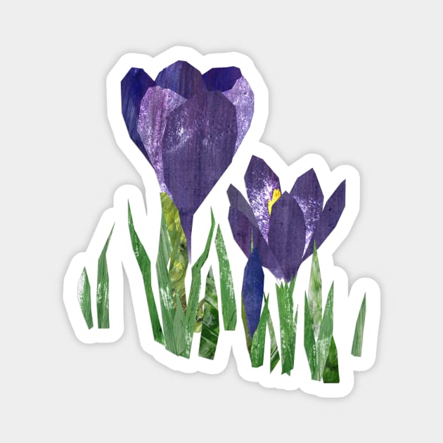 Crocus Magnet by Babban Gaelg