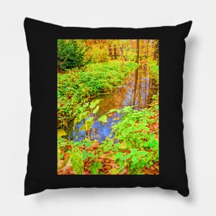 ditch in the park, painting, oil painting, nature Pillow