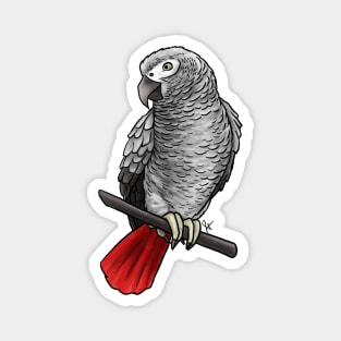 Bird - African Grey Parrot Magnet