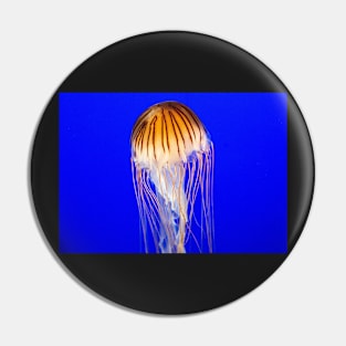 JELLYFISH OF BEAUTY IN THE BLUE OCEAN DESIGN Pin