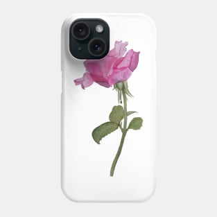 Watercolor rose Phone Case