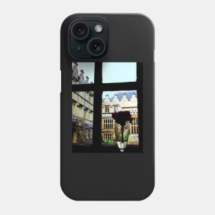 Room With A View Phone Case