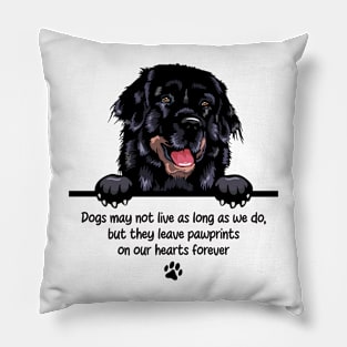 Dogs may not live as long as we do, but they leave pawprints  on our hearts forever Pillow