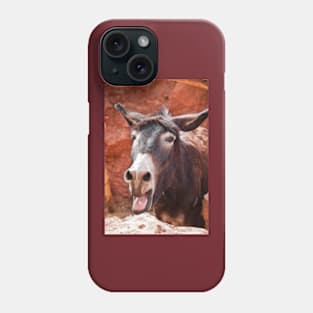 Morocco. Village. Donkey. Phone Case